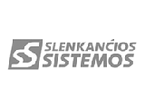 Slankiojančios sistemos