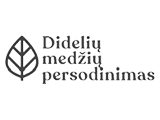 Didelių medžių persodinimas