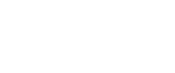 Meta Business Partner