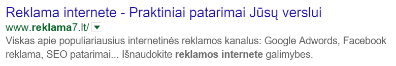 svetainės išvaizda paieškoje